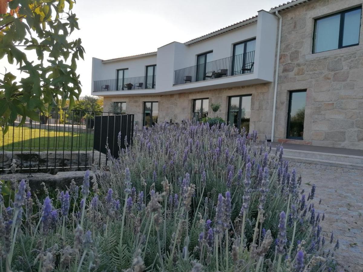 Carvalhal Redondo - Farm House Castelo Novo Exterior foto