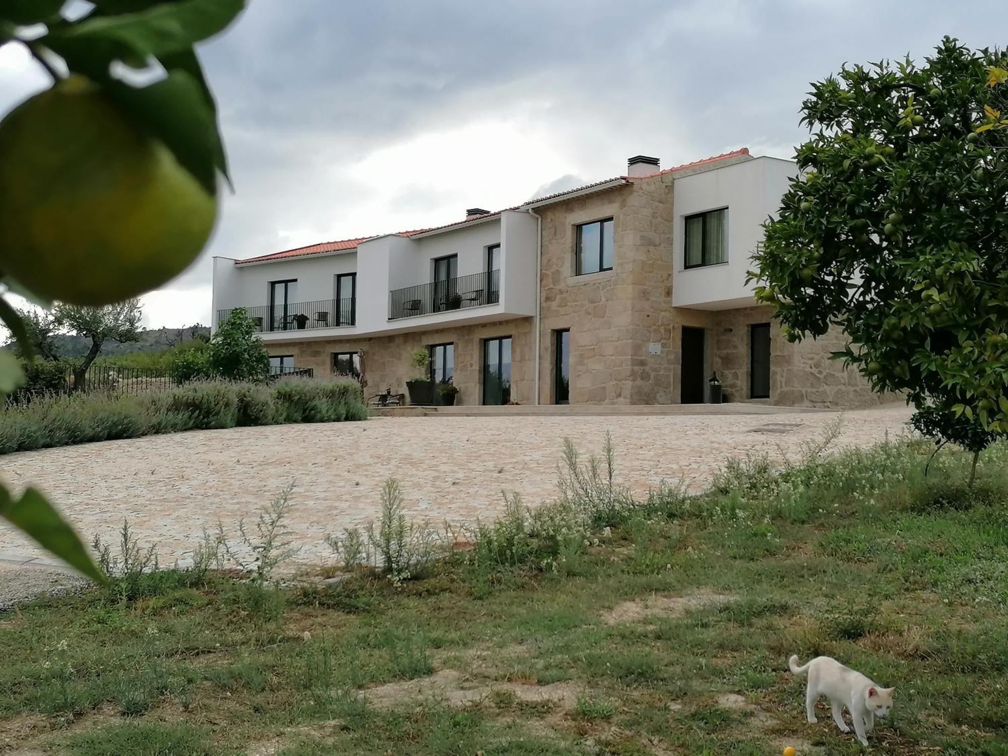 Carvalhal Redondo - Farm House Castelo Novo Exterior foto